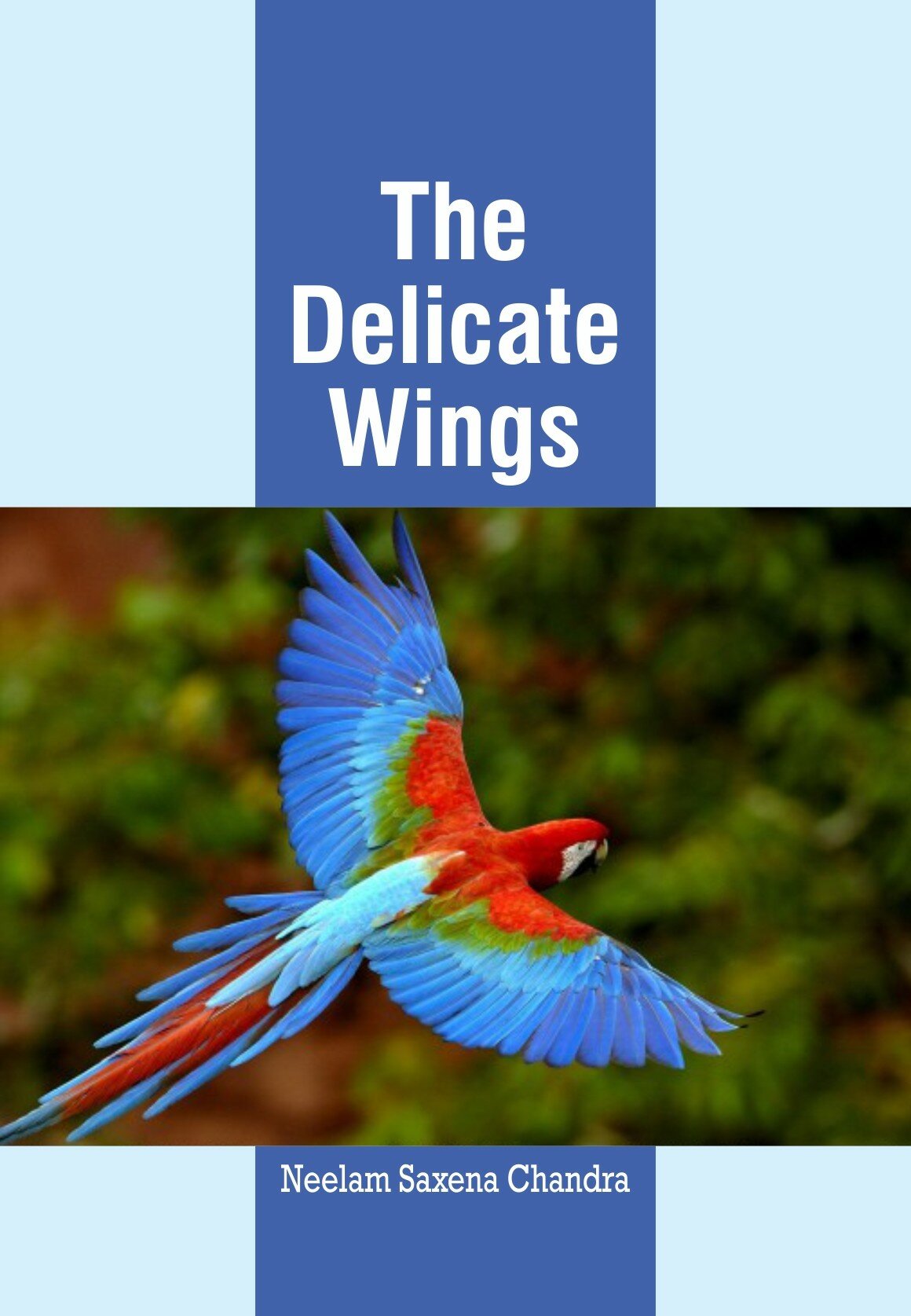 The Delicate Wings